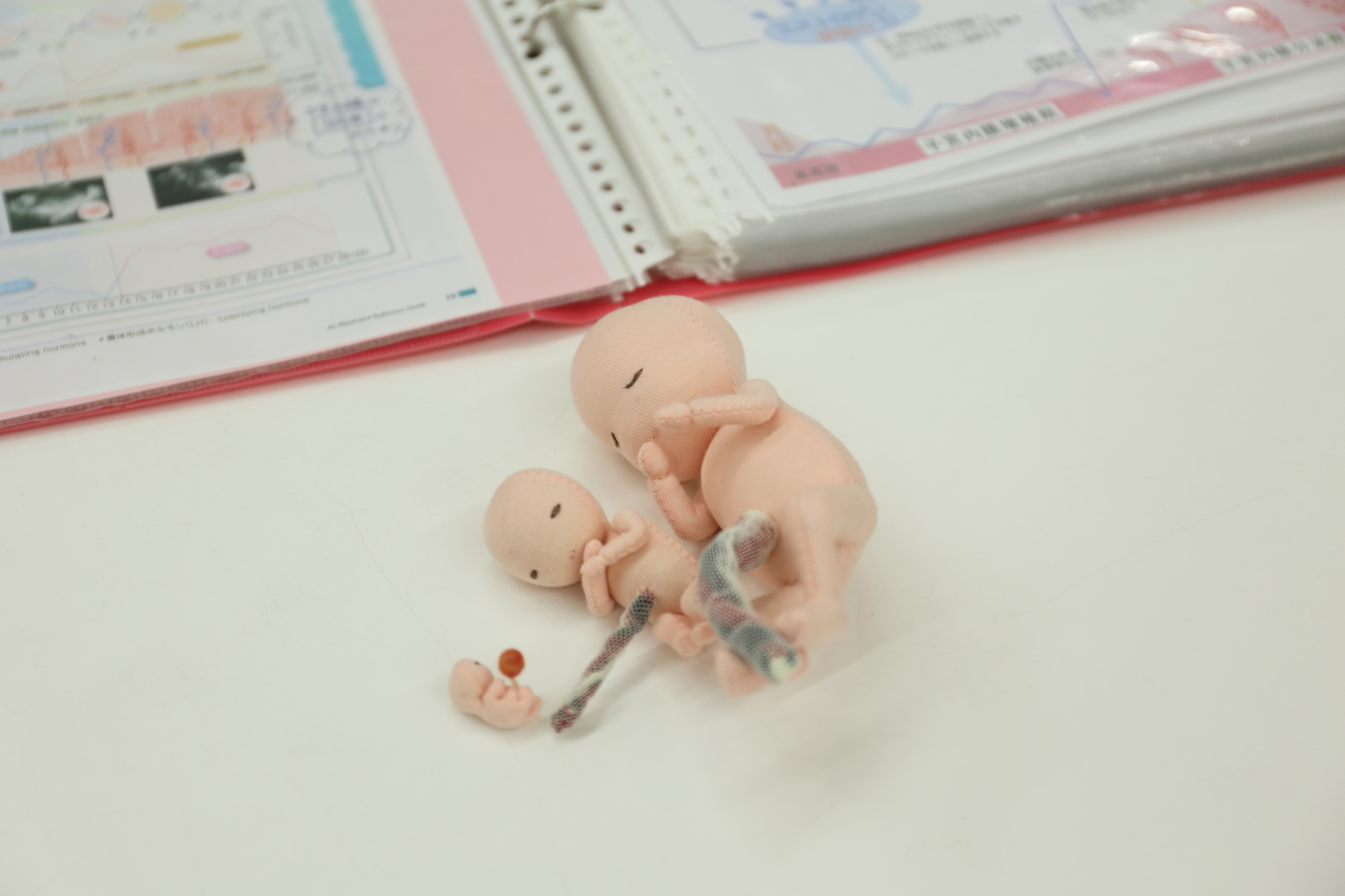 福井薬局イメージ02